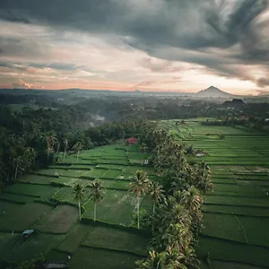 Ayu Duwur Beji 3*, Ubud (Bali) Indonesia